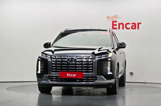 Hyundai Palisade Gasoline 3.8 4WD Calligraphy — пробег 36 129 км — фото 3 из 5