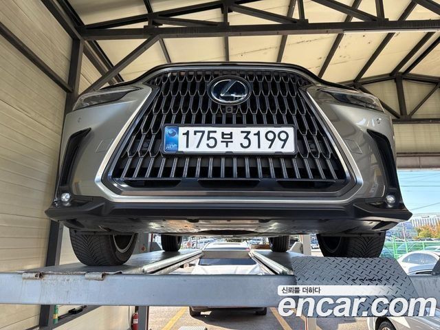 Lexus NX из Кореи Encar
