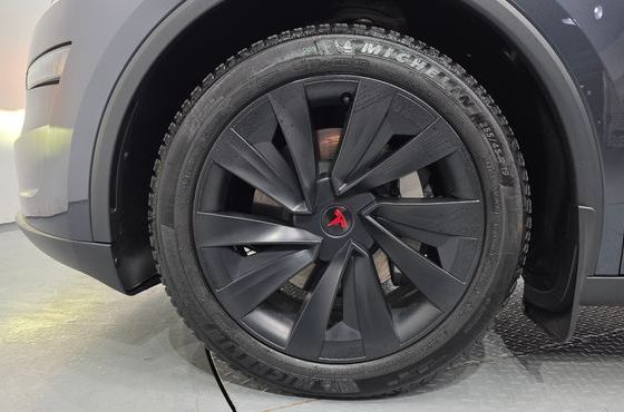 Tesla Model Y Long Range AWD — пробег 22 814 км — фото 5 из 5
