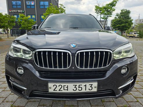 BMW X5 xDrive 30d — пробег 195 400 км — фото 1 из 5
