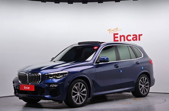 BMW X5 xDrive 30d M Sport — пробег 90 101 км — фото 1 из 5