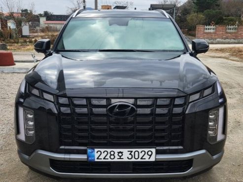 Hyundai Palisade Gasoline 3.8 2WD Le Blanc — пробег 17 000 км — фото 1 из 5