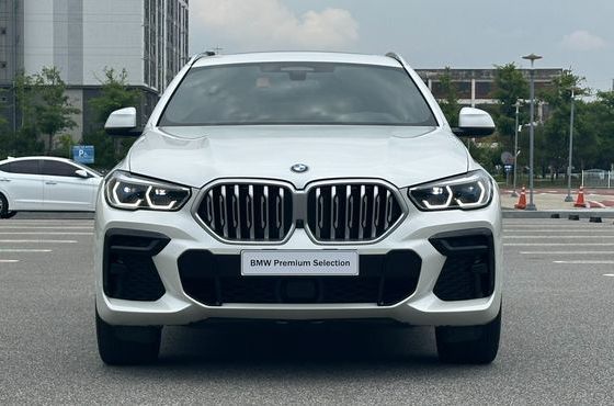 BMW X6 xDrive30d M Sport — пробег 81 357 км — фото 3 из 5