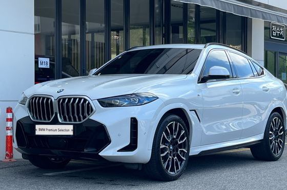 BMW X6 xDrive40i M Sport — пробег 30 000 км — фото 1 из 5