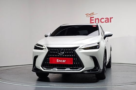 Lexus NX Premium — пробег 103 178 км — фото 3 из 5