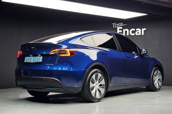 Tesla Model Y Long Range AWD — пробег 153 870 км — фото 2 из 5