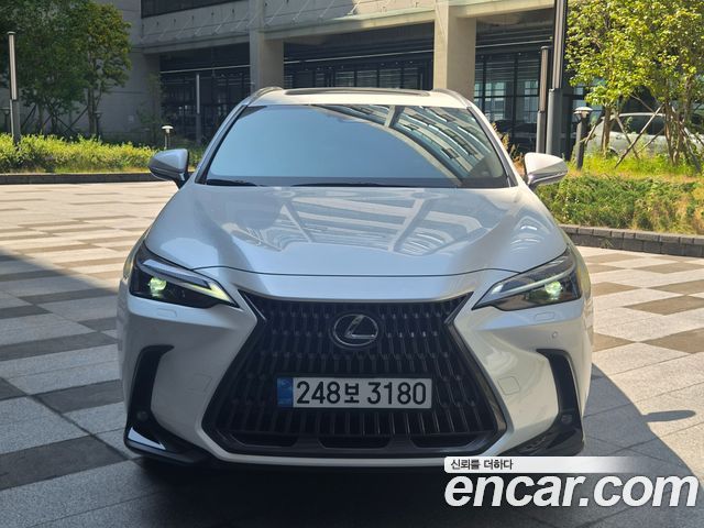 Lexus NX Premium — пробег 7 000 км — фото 3 из 5