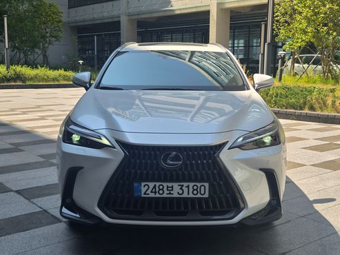 Lexus NX Premium — пробег 7 000 км — фото 3 из 5