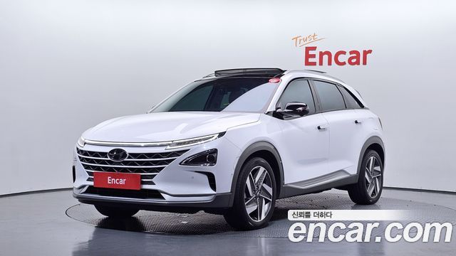 Hyundai Nexo Premium — пробег 54 375 км — фото 1 из 5