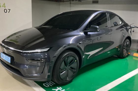 Tesla Model Y Premium RWD — пробег 500 км — фото 2 из 5