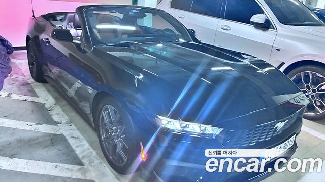 Ford Mustang 2.3 Ecoboost Premium Convertible — пробег 11 950 км — фото 4 из 5