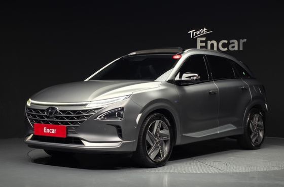Hyundai Nexo Premium — пробег 169 125 км — фото 1 из 5