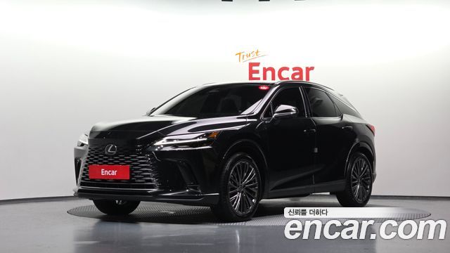 Lexus RX Luxury — пробег 10 982 км — фото 1 из 5