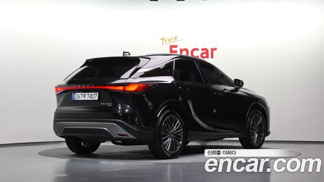 Lexus RX Luxury — пробег 10 982 км — фото 2 из 5