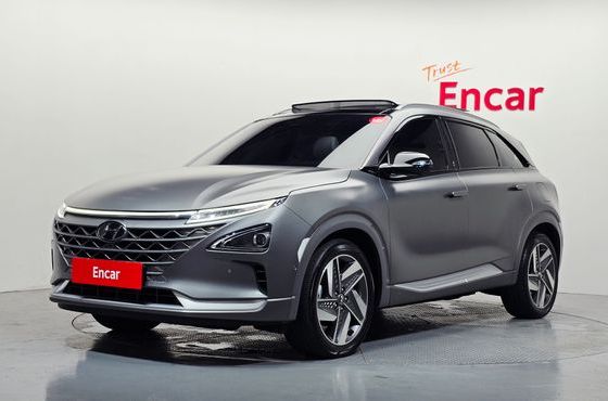 Hyundai Nexo Premium — пробег 71 861 км — фото 1 из 5