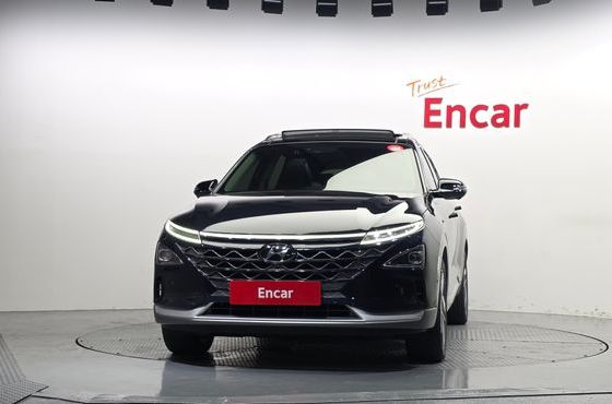 Hyundai Nexo Premium — пробег 154 972 км — фото 3 из 5