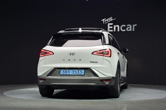 Hyundai Nexo Premium — пробег 175 384 км — фото 4 из 5