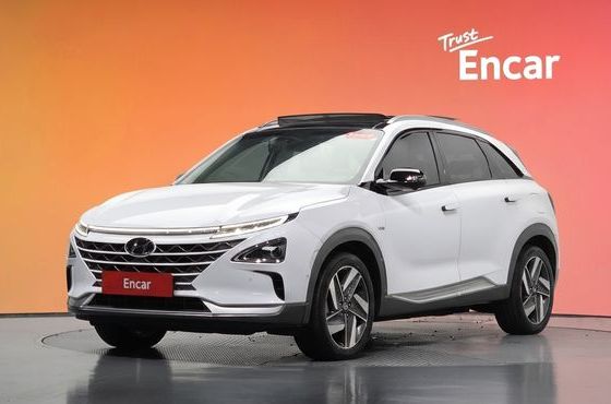 Hyundai Nexo Premium — пробег 85 553 км — фото 1 из 5