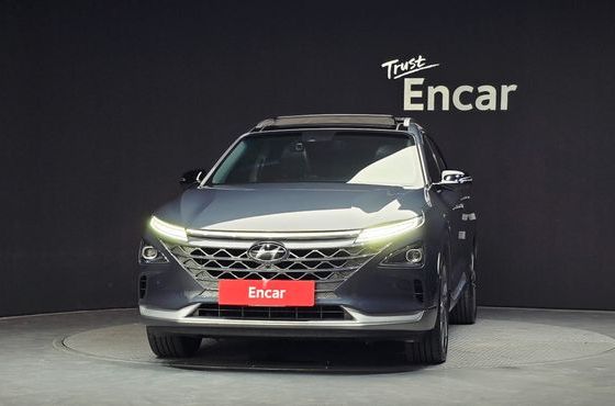 Hyundai Nexo Premium — пробег 153 583 км — фото 3 из 5