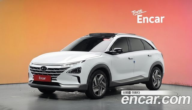 Hyundai Nexo Premium — пробег 28 140 км — фото 1 из 5