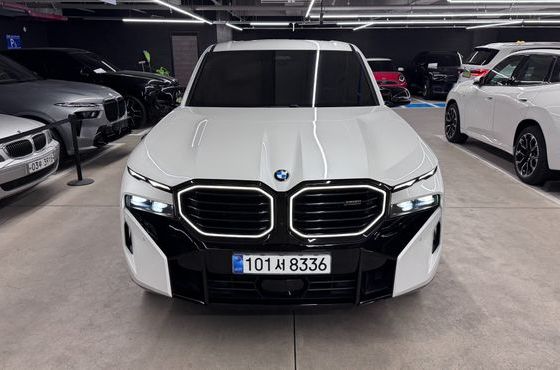 BMW XM 4.4 — пробег 43 568 км — фото 3 из 5