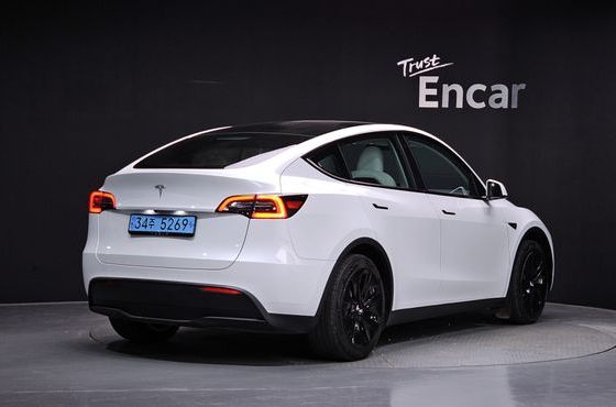 Tesla Model Y RWD — пробег 29 044 км — фото 2 из 5