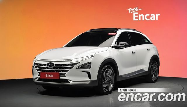 Hyundai Nexo Premium — пробег 76 478 км — фото 1 из 5