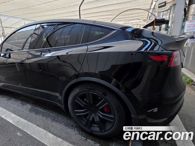 Tesla Model Y из Кореи Encar