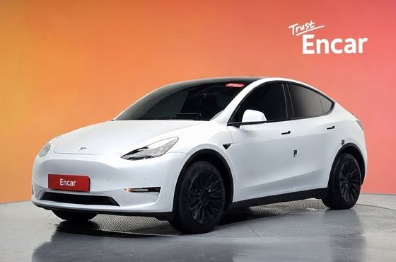 Tesla Model Y Long Range AWD — пробег 70 167 км — фото 1 из 5