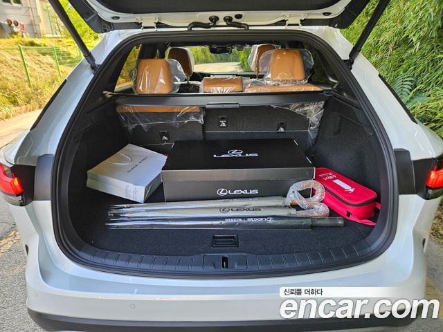 Lexus RX Premium — пробег 99 км — фото 5 из 5