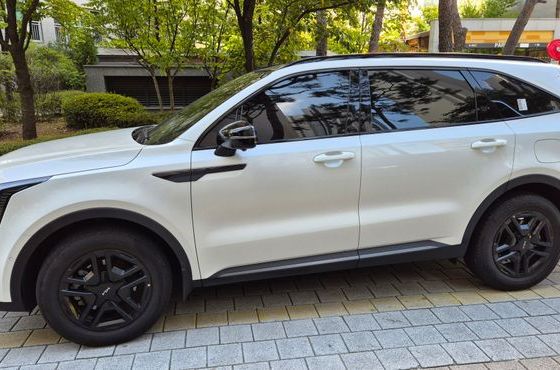 Kia Sorento HEV 1.6 2WD Gravity — пробег 36 089 км — фото 1 из 5