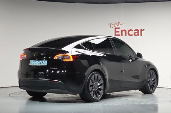 Tesla Model Y Performance AWD — пробег 80 945 км — фото 2 из 5
