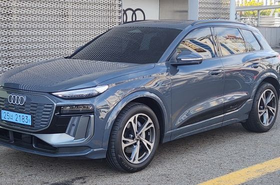 Audi Q6 e-tron S Line — пробег 357 км — фото 1 из 5