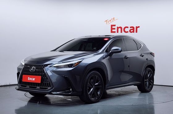 Lexus NX Premium — пробег 36 097 км — фото 1 из 5