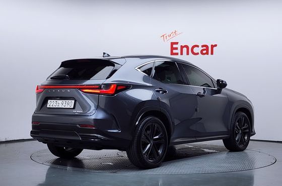 Lexus NX Premium — пробег 36 097 км — фото 2 из 5