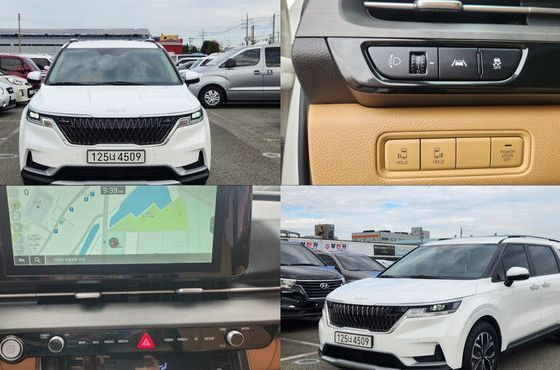 Kia Carnival Gasoline 9-Seater Prestige — пробег 80 000 км — фото 1 из 5