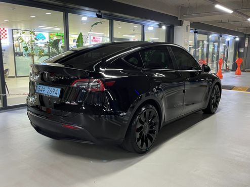 Tesla Model Y Performance AWD — пробег 61 532 км — фото 4 из 5
