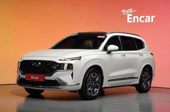 Hyundai Santafe HEV 1.6 2WD Calligraphy — пробег 92 987 км — фото 1 из 5