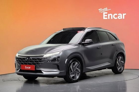 Hyundai Nexo Premium — пробег 75 610 км — фото 1 из 5