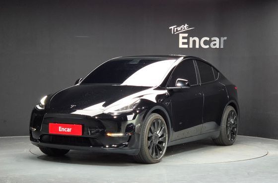 Tesla Model Y Long Range AWD — пробег 71 612 км — фото 1 из 5