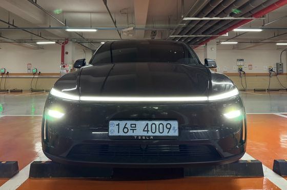 Tesla Model Y Premium RWD — пробег 2 000 км — фото 1 из 5