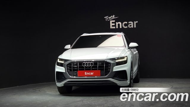 Audi Q8 50 TDI Quattro Premium — пробег 169 228 км — фото 3 из 5