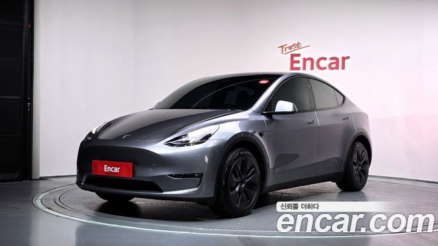 Tesla Model Y Long Range AWD — пробег 45 367 км — фото 1 из 5