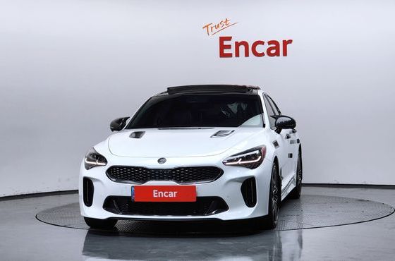 Kia Stinger 2.5 AWD Masters — пробег 133 590 км — фото 3 из 5