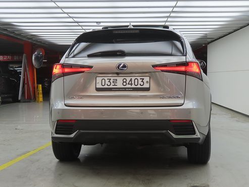 Lexus NX Executive — пробег 118 597 км — фото 3 из 5
