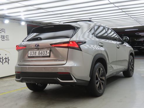 Lexus NX Executive — пробег 118 597 км — фото 4 из 5