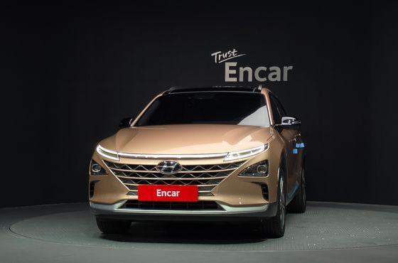 Hyundai Nexo Premium — пробег 139 710 км — фото 3 из 5