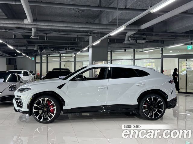 Lamborghini Urus из Кореи Encar