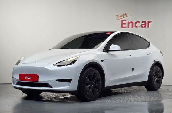 Tesla Model Y RWD — пробег 18 566 км — фото 1 из 5