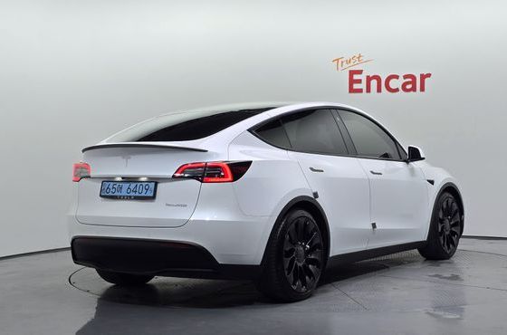 Tesla Model Y Performance AWD — пробег 60 849 км — фото 2 из 5